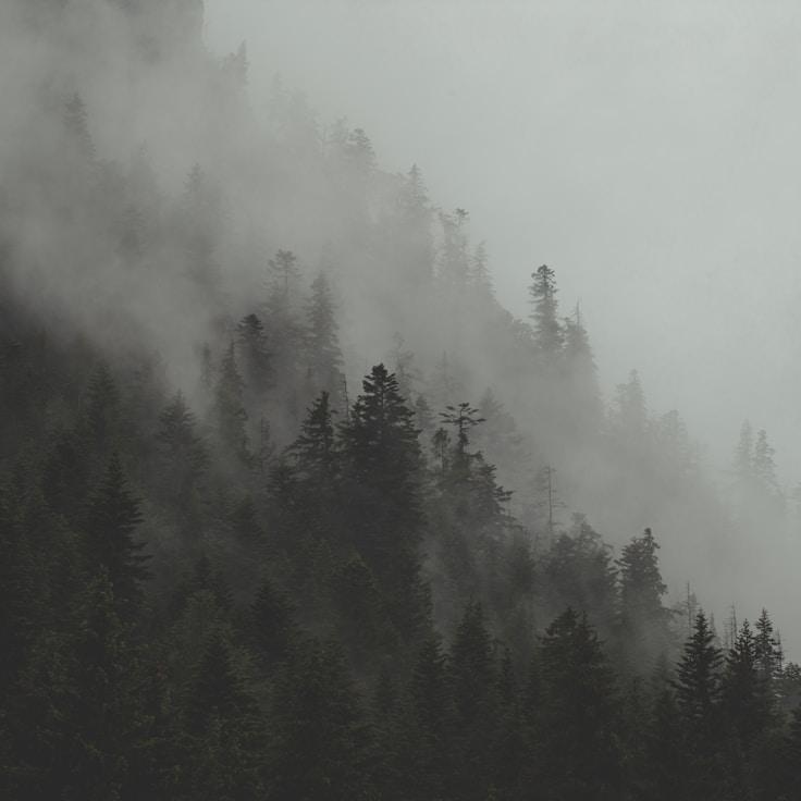 National parks landscape